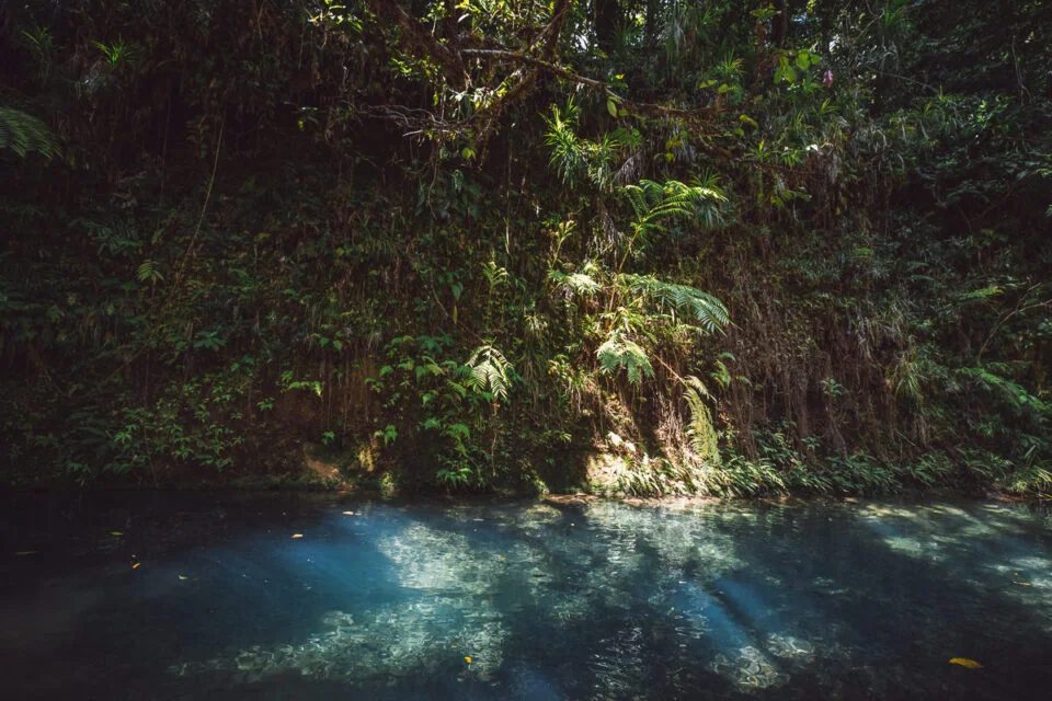 Tourism Training Experience - training session 2