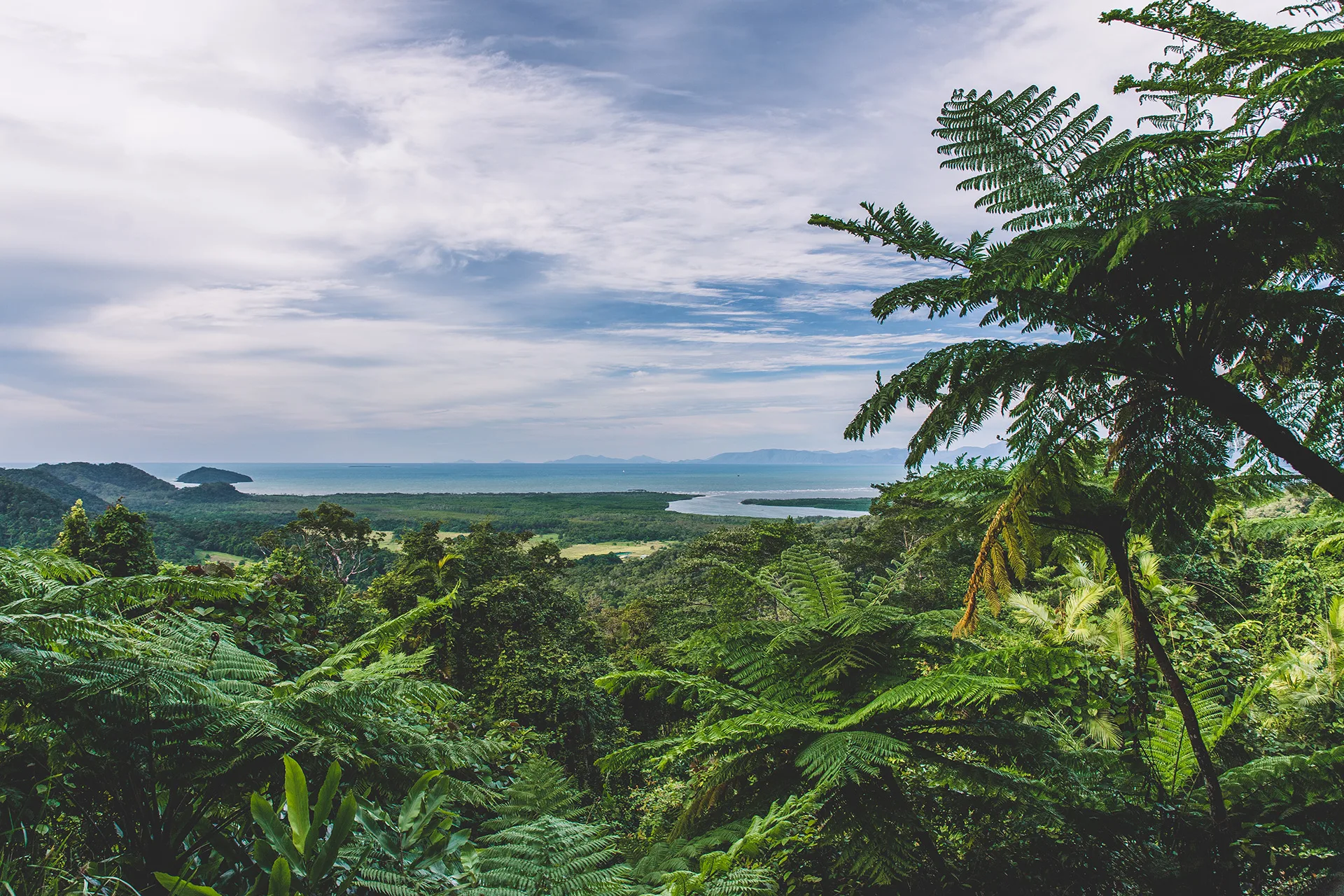 Panoramic view of the Daintree rainforest and coast from Mt Alexandra Lookout